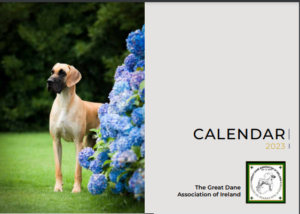 GDAI Calendar image 2023
